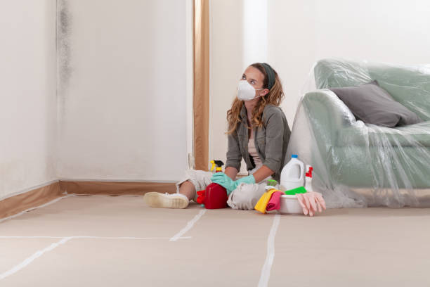 Reliable Commercial Mold Remediation contractor in Baldwin, PA by WQB Mold Removal